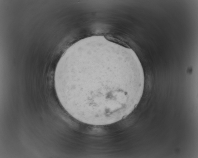 X0000115760475200912241733