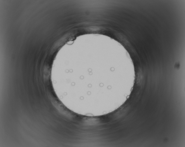 X0000115760476200912241733