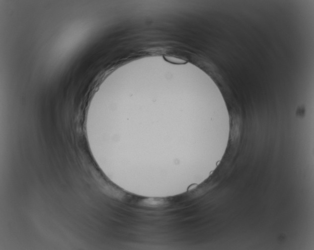X0000115760477200912241733