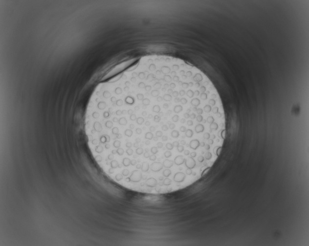X0000115760478200912241733