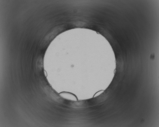 X0000115760479200912241733