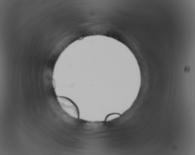 X0000115760480200912241733