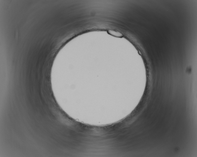X0000115760481200912241732