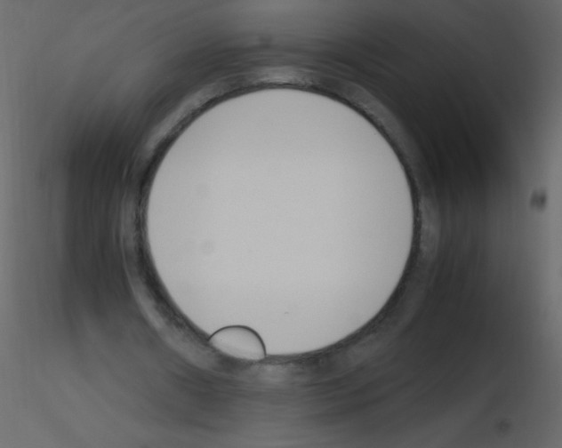 X0000115760482200912241732