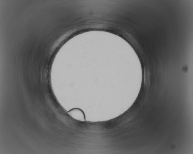 X0000115760483200912241732