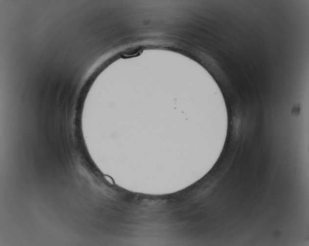 X0000115760484200912241732