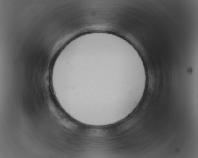 X0000115760486200912241732