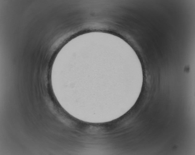 X0000115760487200912241732