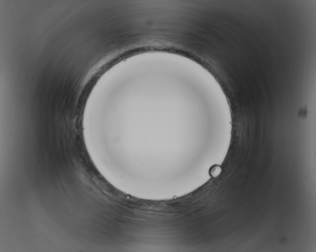 X0000115760488200912241732