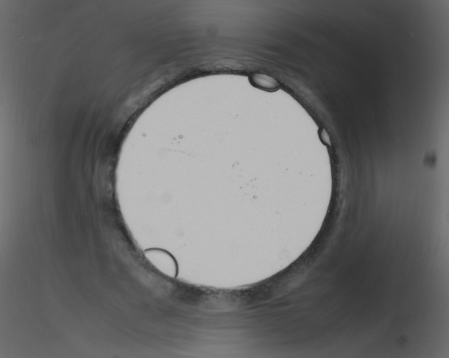 X0000115760489200912241732