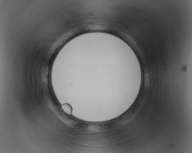 X0000115760490200912241732