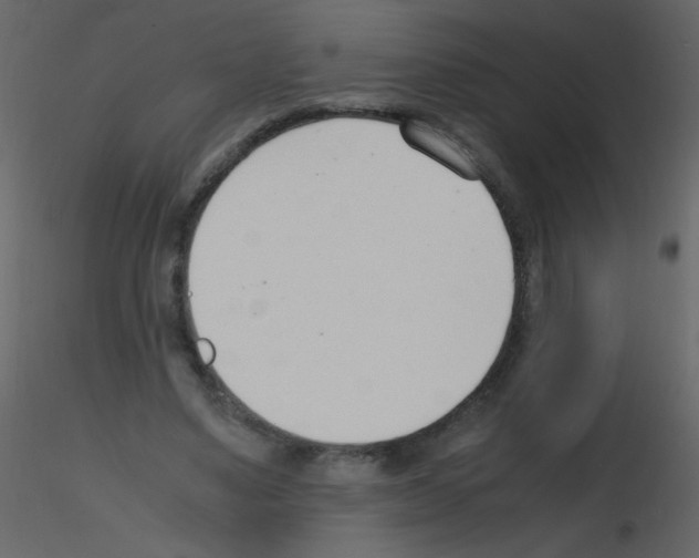 X0000115760491200912241732