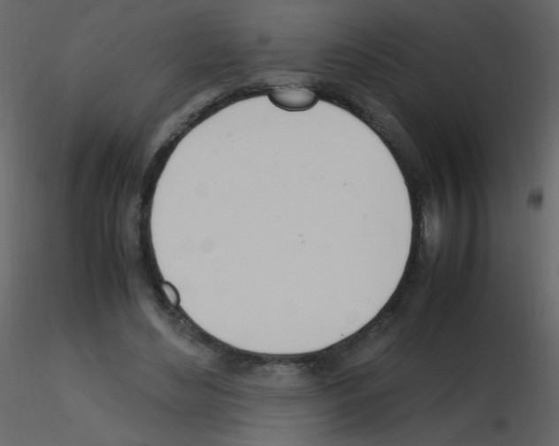 X0000115760492200912241732