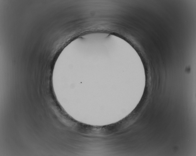 X0000115760493200912241732