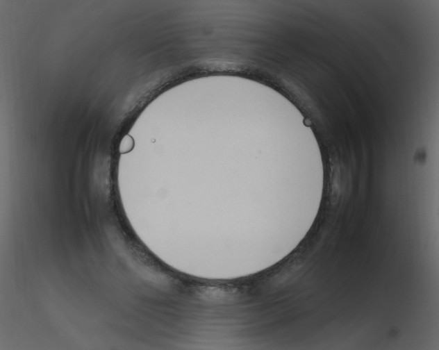 X0000115760494200912241732