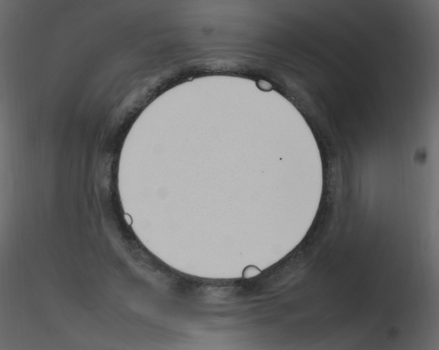 X0000115760495200912241732