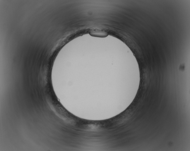 X0000115760496200912241732