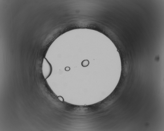X0000115760497200912241732