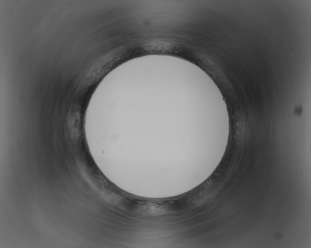X0000115760498200912241732