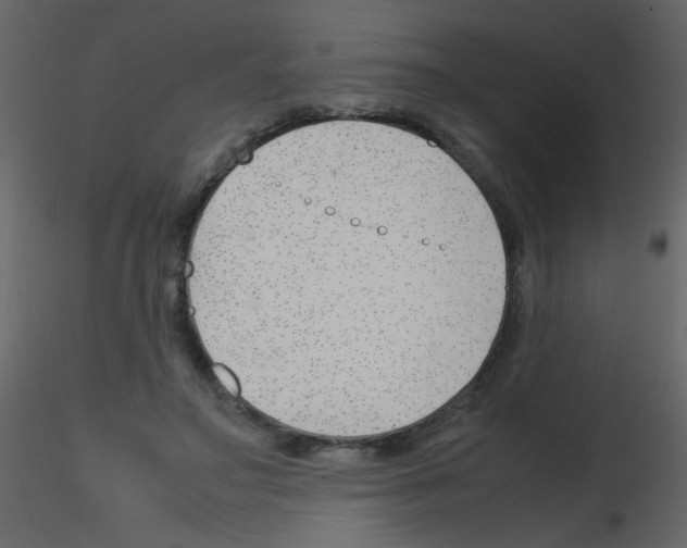 X0000115760499200912241732