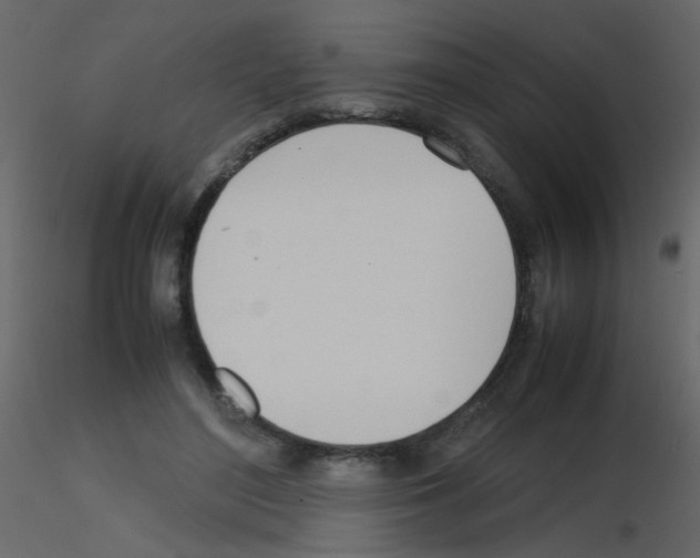 X0000115760500200912241732