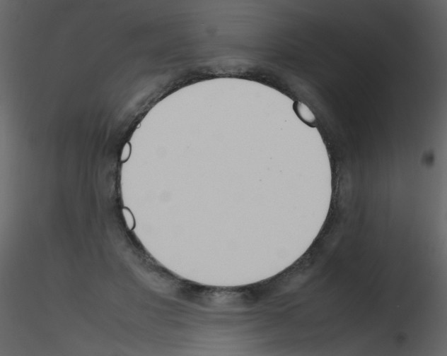 X0000115760501200912241732