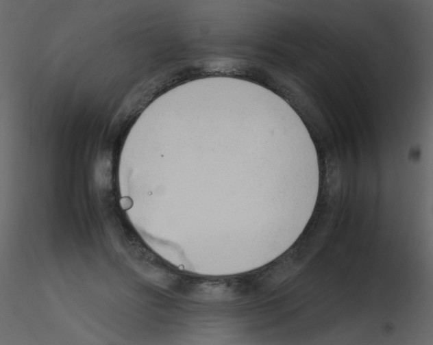 X0000115760502200912241732