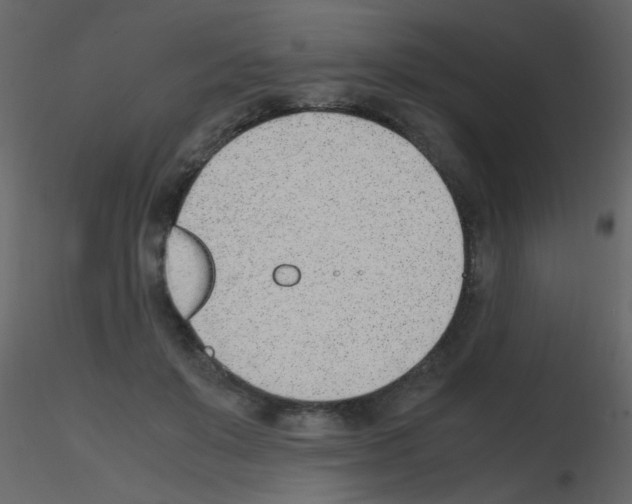 X0000115760503200912241732