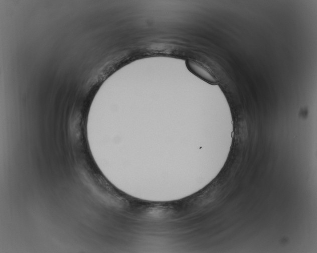 X0000115760504200912241732