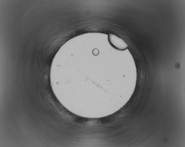 X0000115760505200912241732