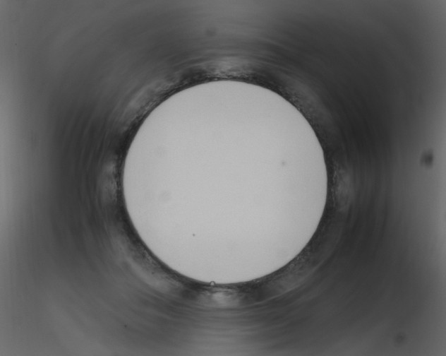 X0000115760506200912241732