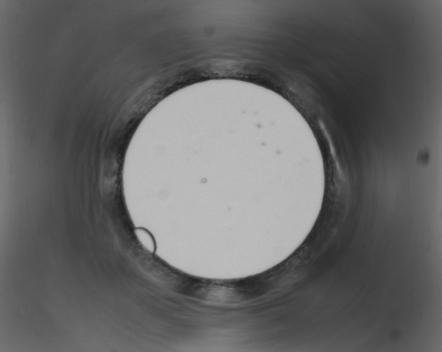 X0000115760507200912241732
