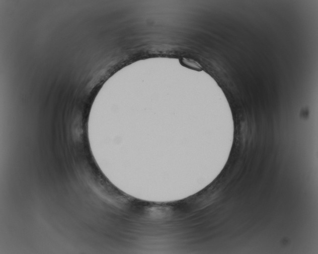 X0000115760508200912241732