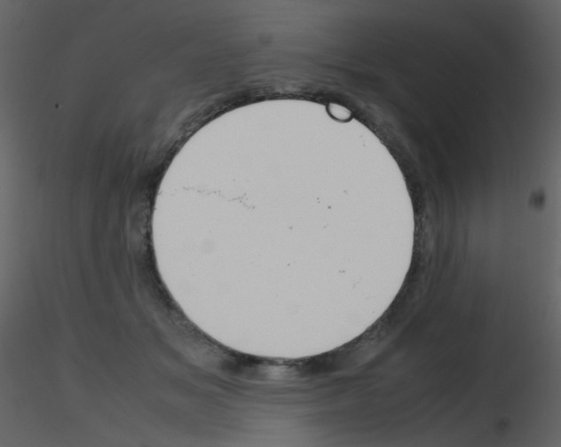 X0000115760509200912241732