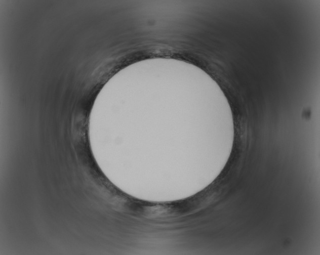 X0000115760511200912241732