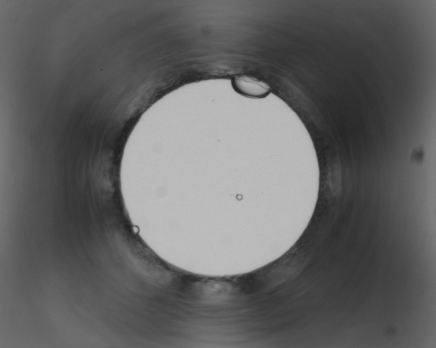 X0000115760512200912241732