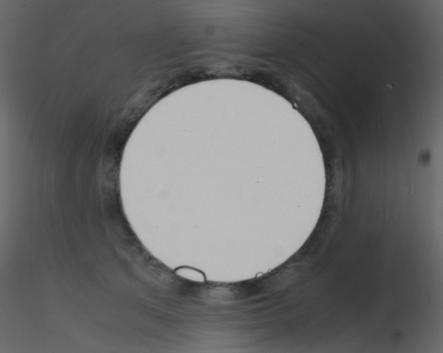 X0000115760513200912241732