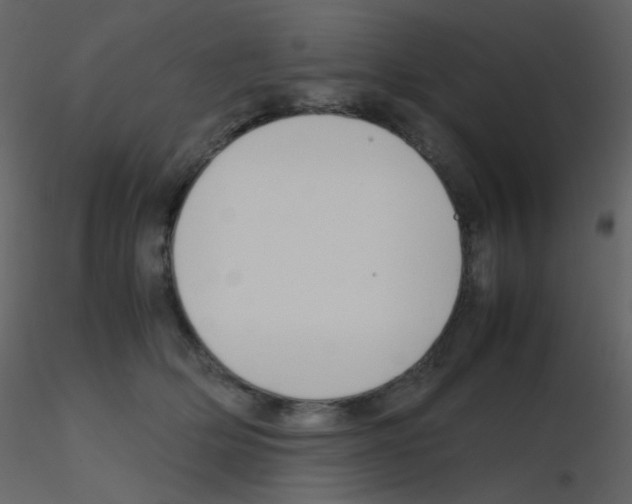X0000115760514200912241732