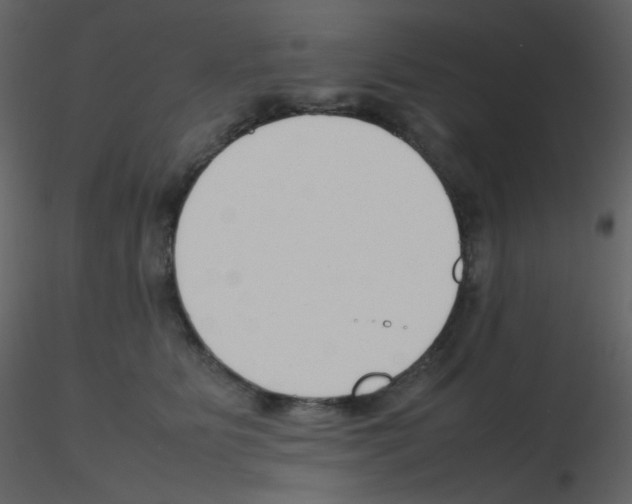 X0000115760515200912241732