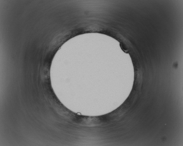 X0000115760517200912241731