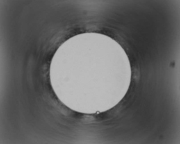 X0000115760519200912241731