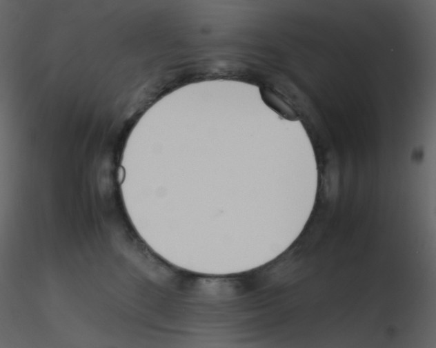 X0000115760520200912241731