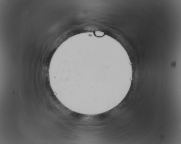 X0000115760521200912241731