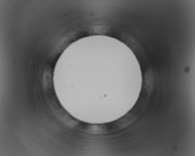 X0000115760522200912241731