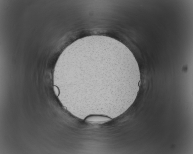 X0000115760523200912241731