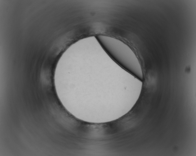 X0000115760524200912241731