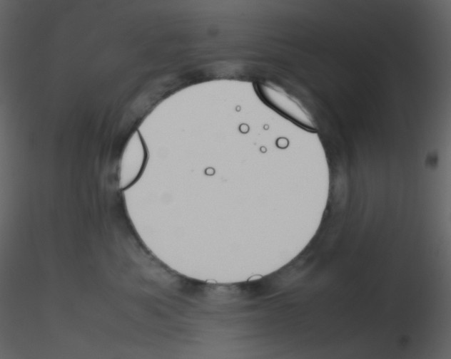 X0000115760525200912241731