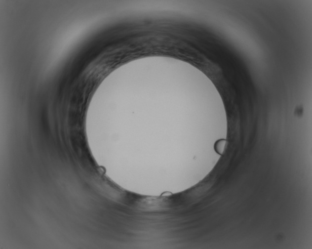 X0000115760526200912241731