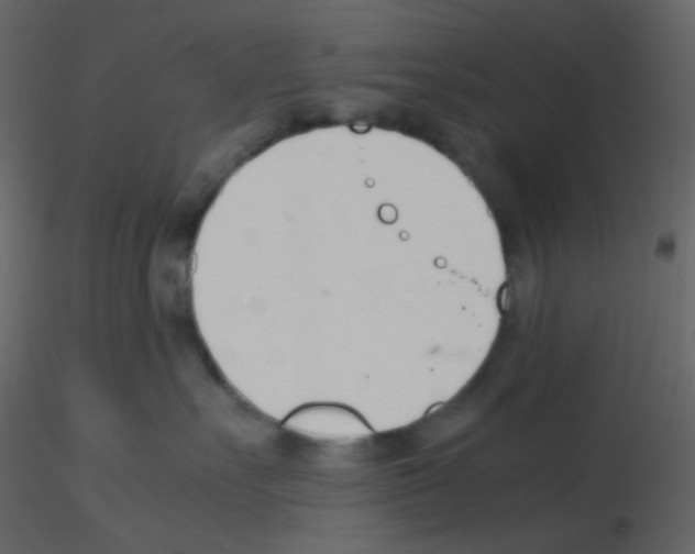 X0000115760527200912241731