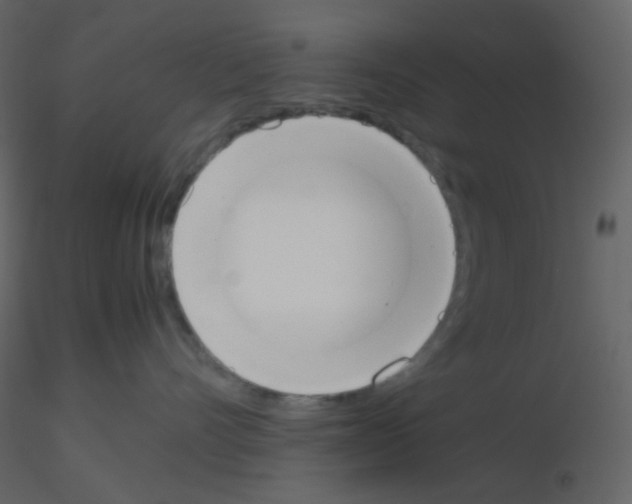 X0000115760528200912241731